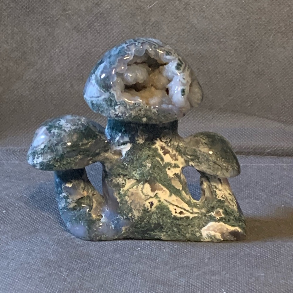 Agate Mushrooms